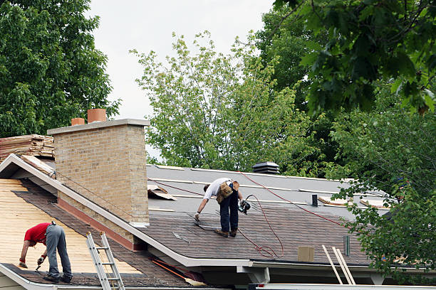 Best Roof Moss and Algae Removal  in Coral Springs, FL