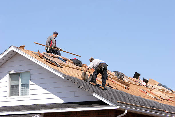 Best Sheet Metal Roofing  in Coral Springs, FL